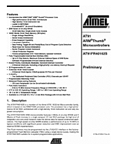 DataSheet AT91FR40162S pdf