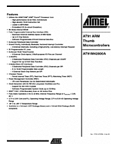 DataSheet AT91M42800A pdf