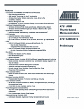 DataSheet AT91SAM9261S pdf