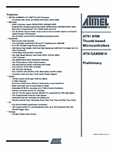 DataSheet AT91SAM9M10 pdf