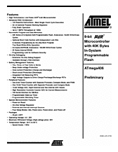 DataSheet ATmega406 pdf