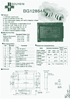 DataSheet BG12864A pdf