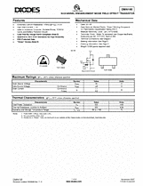 DataSheet DMN100 pdf