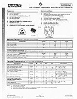 DataSheet DMP2004DMK pdf