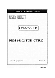 DataSheet DEM16102TGH-CYR22 pdf