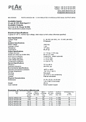 DataSheet P22TG-2405Z4:1MLF pdf