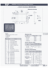 DataSheet WG160128B pdf