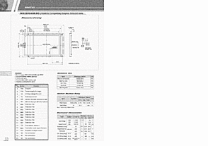 DataSheet WG320240B0 pdf