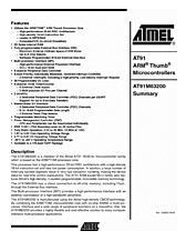 DataSheet AT91M63200 pdf