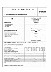 DataSheet FSM10x pdf