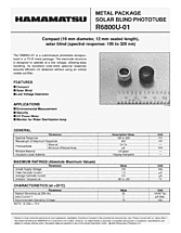 DataSheet R6800U-01 pdf