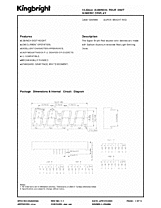 DataSheet CA56-12SRWA pdf