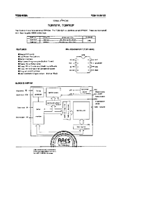 DataSheet TC89101P pdf